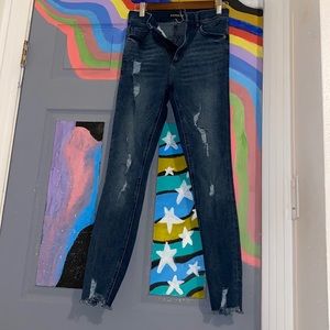 Express Denim Dark Wash